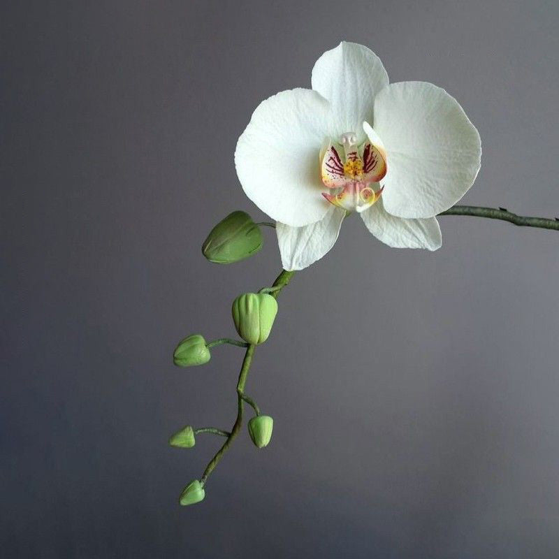 Silver Orchid Threader Earrings for Grace and Energy Flow
