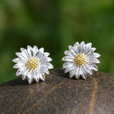 Sunlit Daisy Stud Earrings – Sterling Silver & Gold Accent