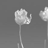 Silver Bud Drop Earrings for Awakening and Graceful Bloom