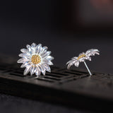 Sunlit Daisy Stud Earrings – Sterling Silver & Gold Accent